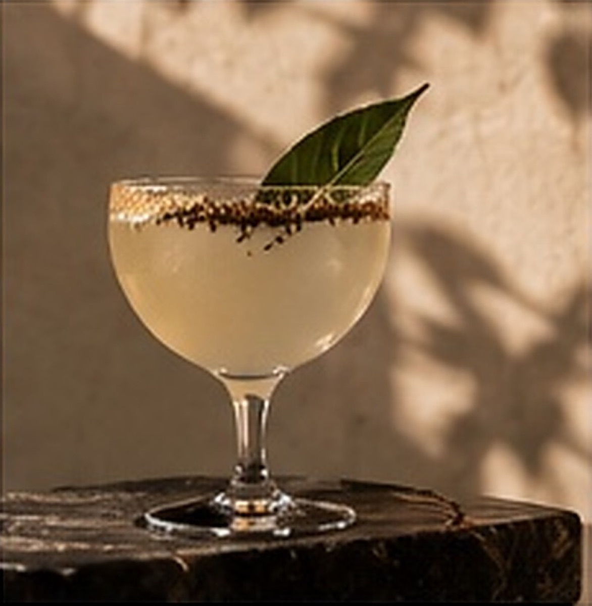 Cocktail signature en coupe, bord givré d’épices et feuille, posé sur une pierre